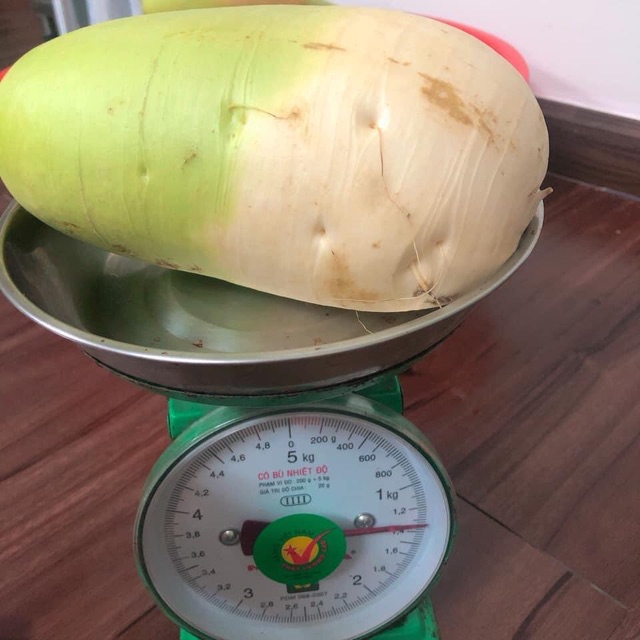 KIM CHI CỦ CẢI HÀN QUỐC NHẬP KHẨU | BigBuy360 - bigbuy360.vn