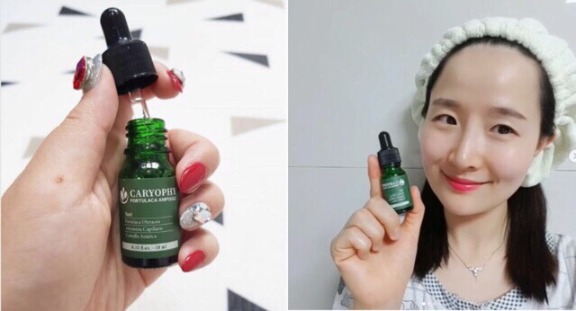 [Chính Hãng] Tinh Chất Giảm Mụn Caryophy Ampoule 10ml