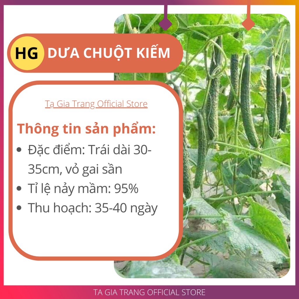 Hạt giống dưa chuột kiếm (dưa chuột Nhật)