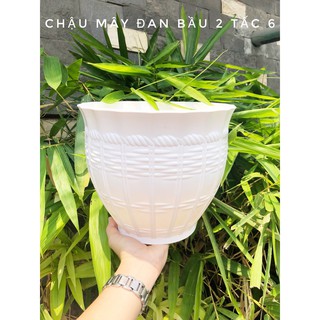 Chậu nhựa mây đan bầu 260