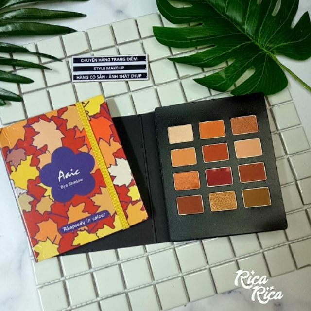 BẢNG MẮT AAIC 12 Ô EYESHADOW PALETTE