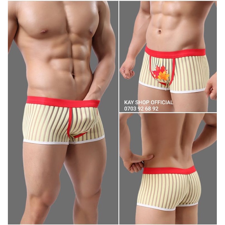 Quần lót nam boxer lưới bông cotton xuyên thấu sexy gợi cảm - Quần sịp đùi vân viền tôn mông QLBXSOUTONG