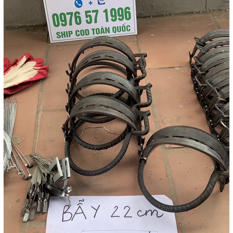 Bẫy 22Cm Thép Xoắn Cạm Đánh Heo Rừng Tặng Bàn Đạp Bắn Rút
