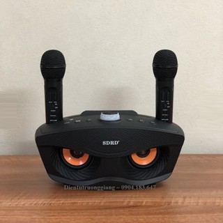 Loa Bluetooth Karaoke SDRD SD-306 kém 2 Micro