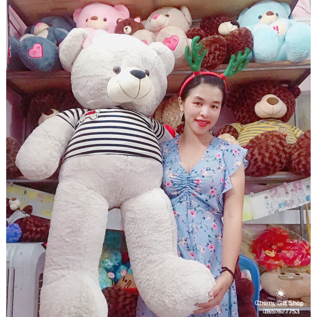 Gấu Bông Teddy Cao Cấp Giá Sốc 1m5 Ảnh Shop Chụp