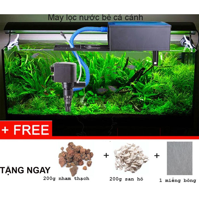 Combo Hệ thống lọc nước cho bể cá cảnh 60cm - 100cm tặng kèm vật liệu lọc vi sinh