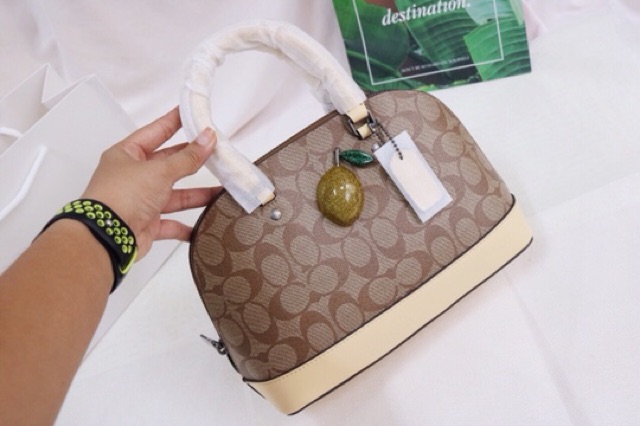 Túi Coach hến