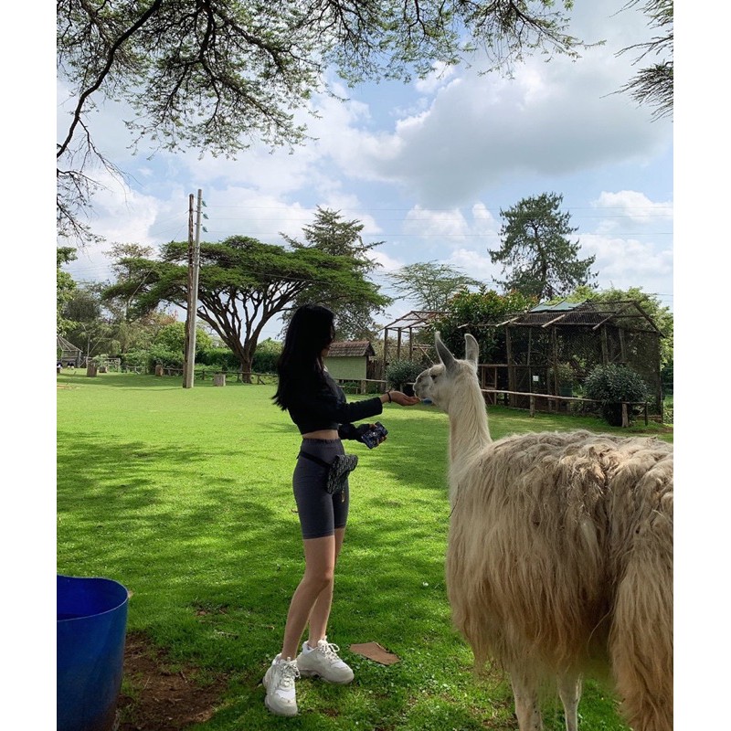 Quần biker short chất len gân ( kèm ảnh thật) | BigBuy360 - bigbuy360.vn