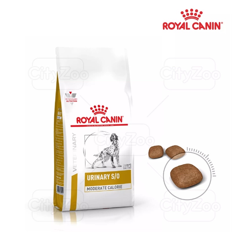 [Mã 252FMCGSALE giảm 8% tối đa 100k đơn 500K] Hạt Royal Canin Urinary S/O cho chó bị sỏi thận và tiết niệu 2 kg