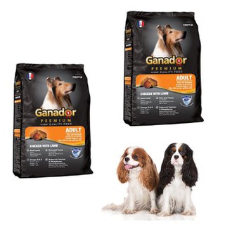 Thức ăn hạt cho chó lớn Ganador Adult gói 400g