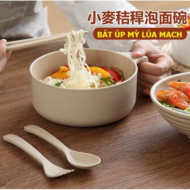 SET BÁT ÚP MỲ LÚA MẠCH - Bộ bát thìa lúa mạch