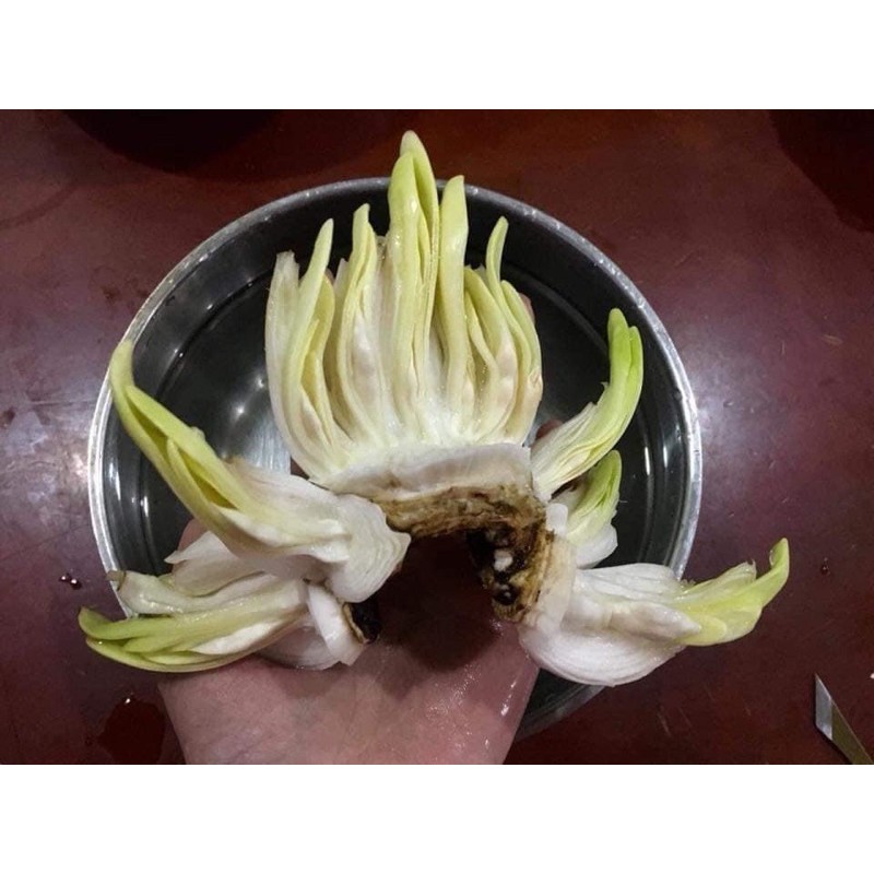 Củ hoa thuỷ tiên có 2 màu trắng,vàng củ đẹp như hình cuối.