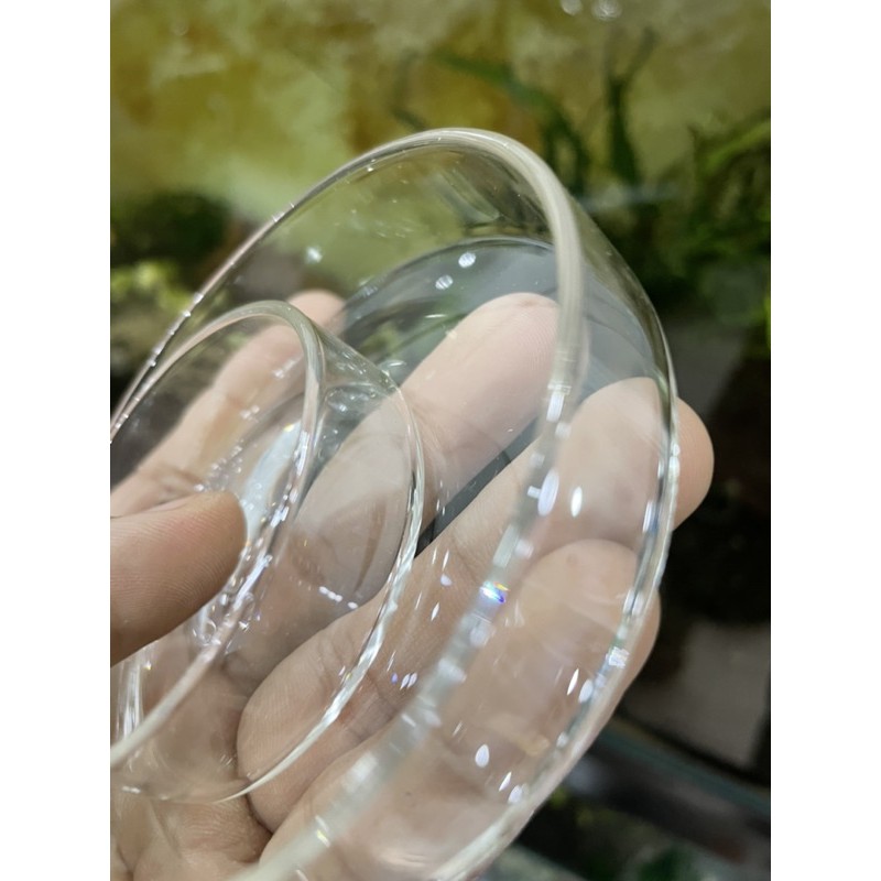 CHÉN THUỶ TINH NUÔI TÉP