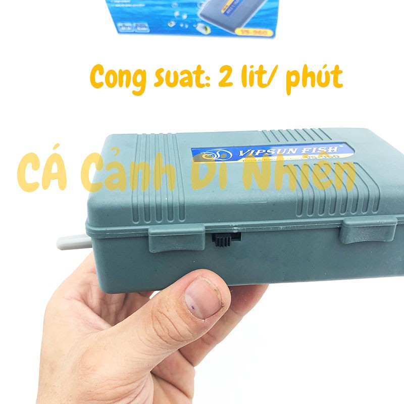 Máy sủi khí oxy chạy pin 1 vòi VS-960 + Dây Sủi + Quả Sủi cho hồ cá