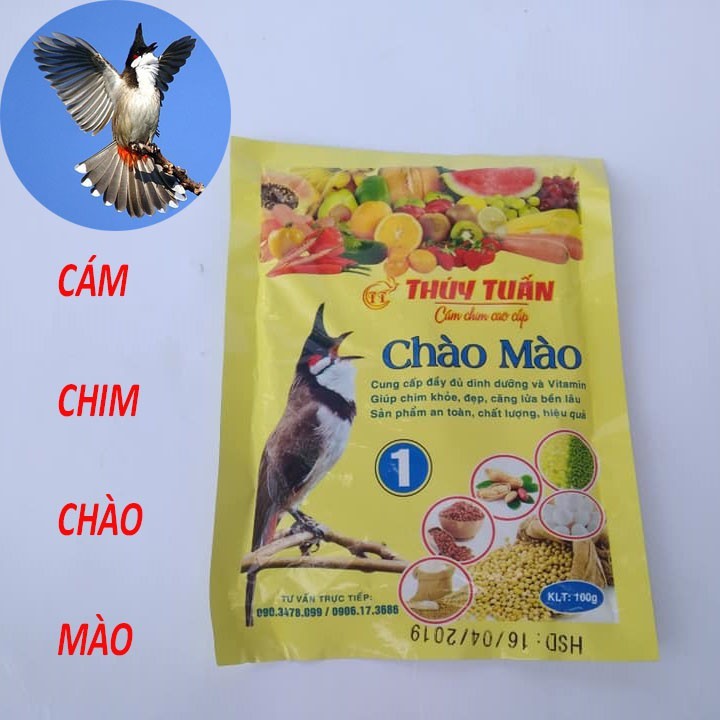 CÁM CHIM CHÀO MÀO _ CÁM DINH DƯỠNG