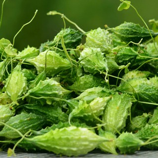 1gram HẠT GIỐNG KHỔ QUA RỪNG