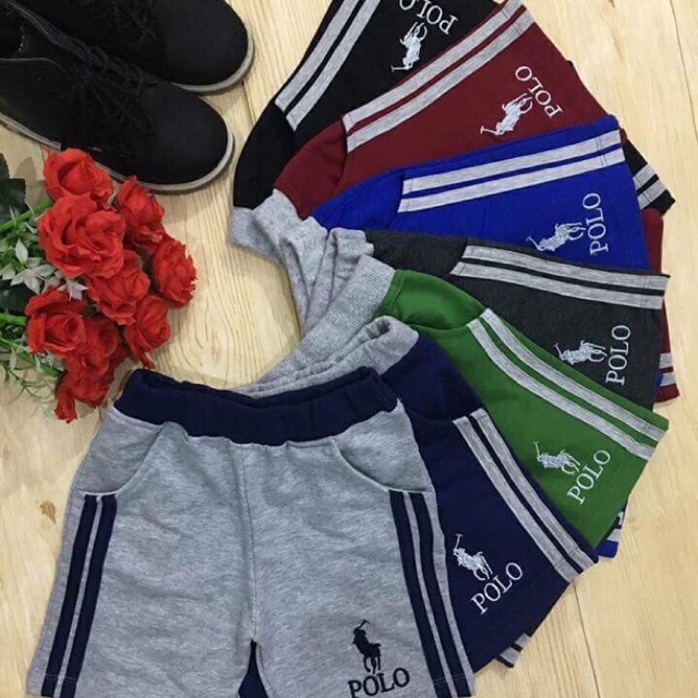 Combo quần polo