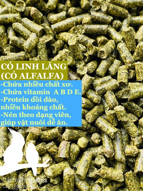 2KG CỎ LINH LĂNG (CỎ ALFALFA) cho GÀ ĐÁ, BỒ CÂU, THỎ BỌ... giúp sung mãn