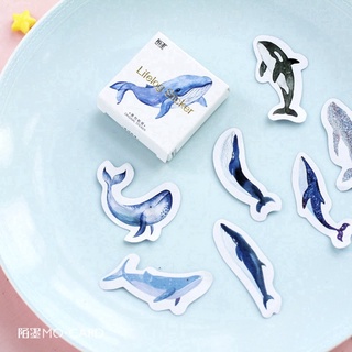 Hộp 45 miếng sticker mẫu cá voi xanh