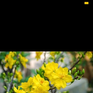 Shop Giầy Dép Bốt HotTrend