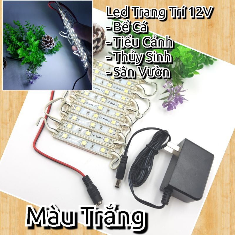 Đèn LED COB 12V Chiếu Sáng Bể Cá Máy Tính Hồ Thủy Sinh, Đèn Trang Trí Tiểu Cảnh