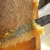 MẬT ONG NGUYÊN CHẤT Xuất Khẩu Hoa Kì 83g - Thế Hồng Honey