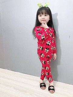 Combo 4 bộ bozip bé gái