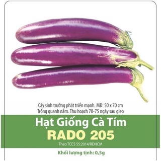 Hạt giống cà tím Rạng Đông