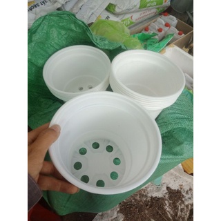Combo 20 cái chậu ươm cây size 23 * 15.5 cm