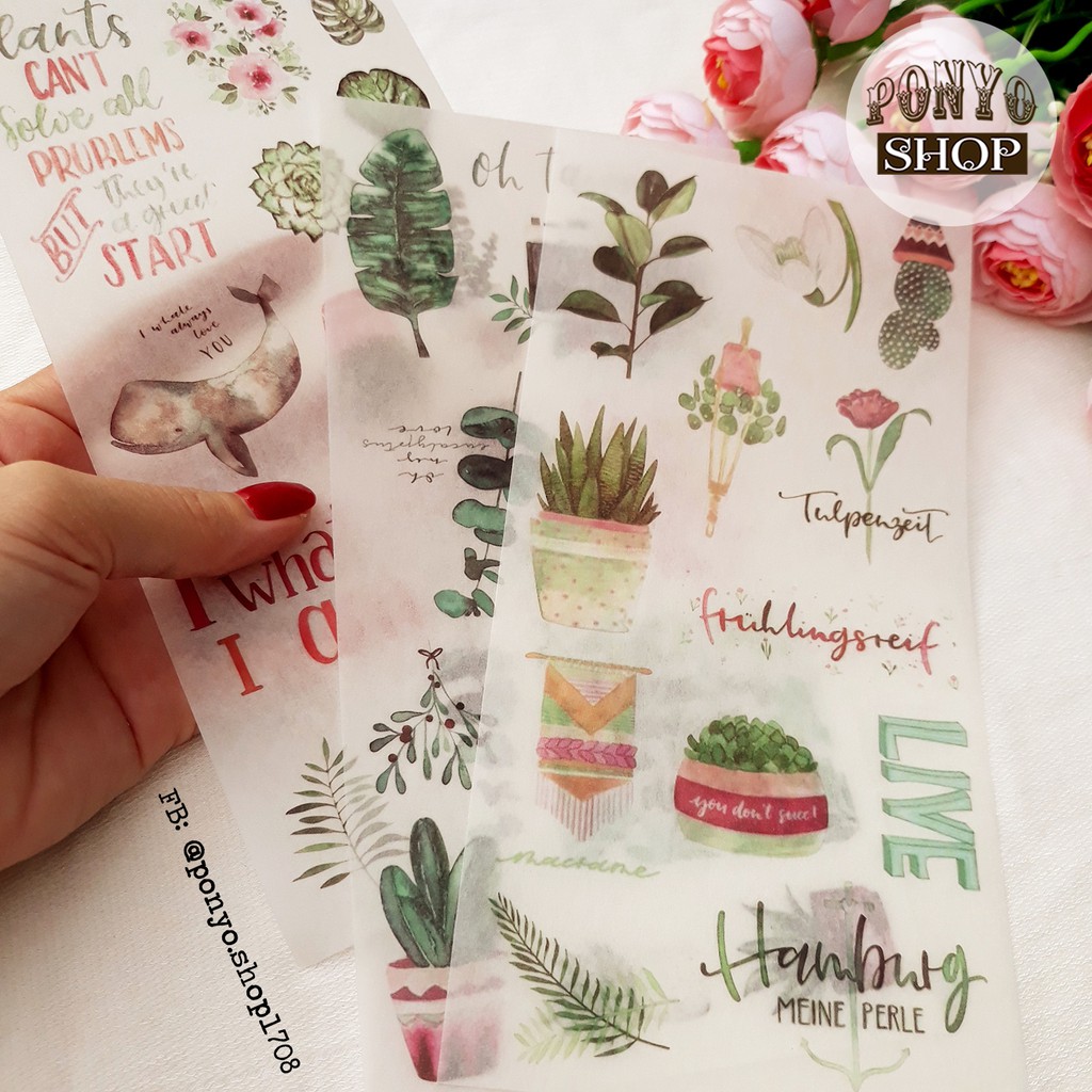 Bộ 3 sticker phong cách Watercolor - Chủ đề Plant