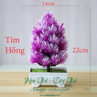 Cây Giả -  Cây Thông Để Bàn