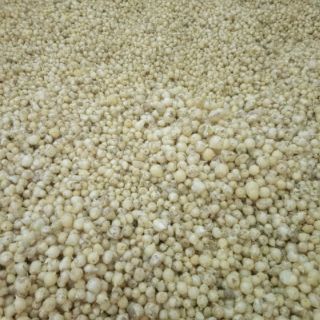 Củ Nén( củ hành tăm)