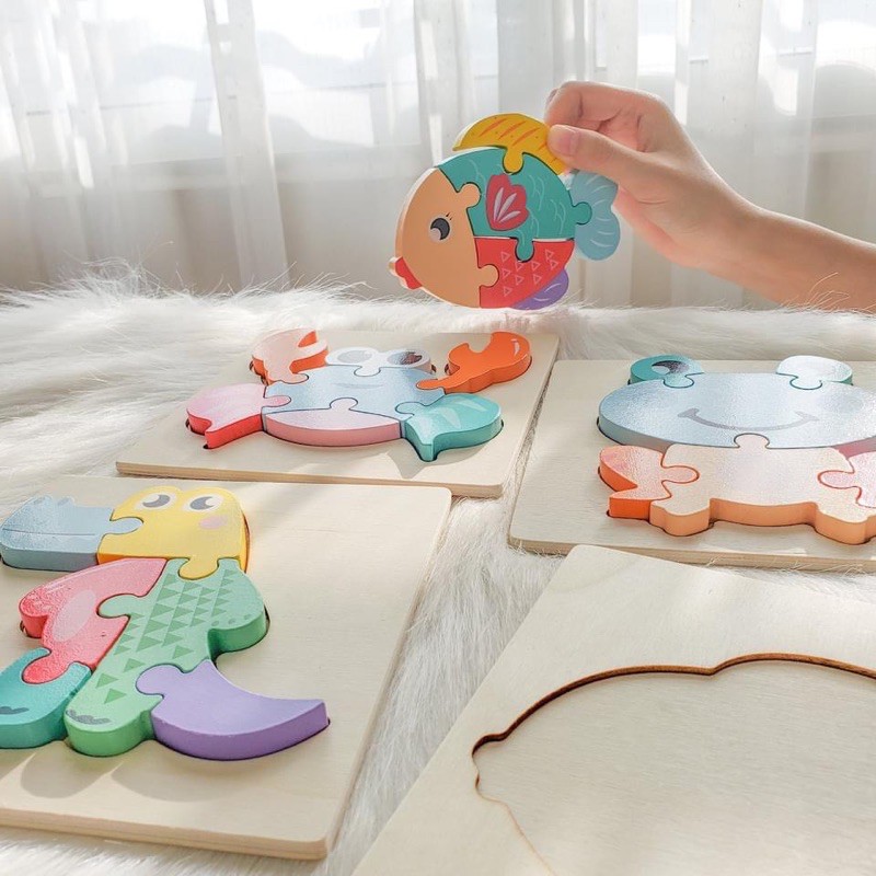 Bộ Ghép Hình Gỗ Cao Cấp