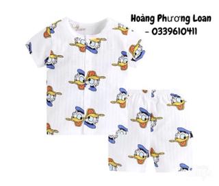 Bộ cotton giấy cho bé
