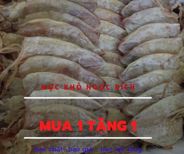 Free ship từ 99k 500g mực khô size vừa (15-20con/kg)