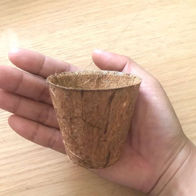 Chậu xơ dừa tròn nhỏ AN1001 - Coir pot (Cao 5cm x Miệng 5,5cm x Đáy 3,5cm)