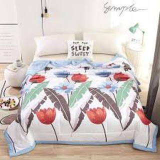 Chăn đũi hè thu zara mẫu mới / chăn xuất hàn. chất liệu cotton nano cực kì mát,thoáng khí. kích thước 2m/2m3