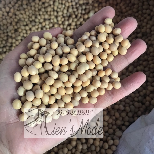 1kg Đỗ Tương (đậu nành) hạt đều bóng