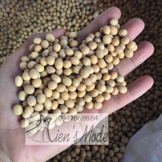 1kg Đỗ Tương (đậu nành) hạt đều bóng