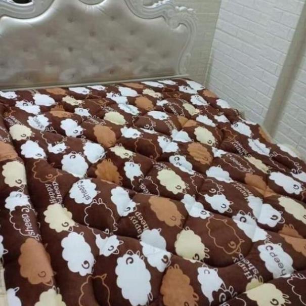 [FREE SHIP] Chăn Lông Cừu 3 Lớp Dày Dặn Hàng Loại 1 ( Ảnh tự chụp 100%)