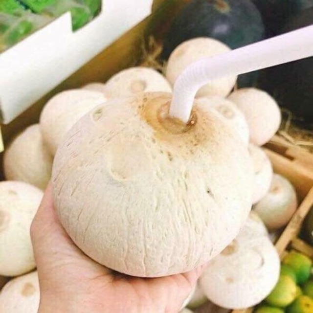 Đặc sản vùng miền _ quận 7