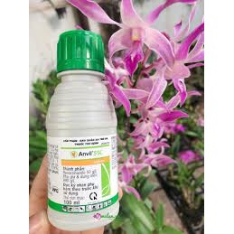 Thuốc đặc trị phấn trắng, vàng lá, ri sat trên hoa, cây cảnh Anvil55C