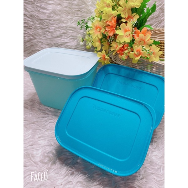 Hộp trữ đông dẻo tupperware gen II