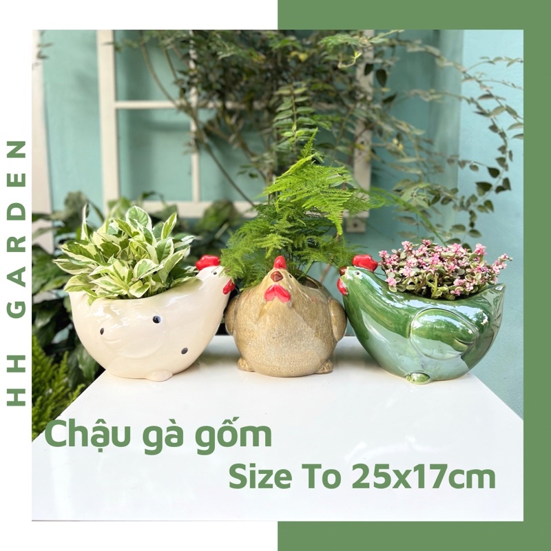 Chậu gà gốm cỡ lớn 25*17cm, chậu trồng cây hình thú siêu dễ thương