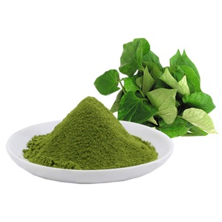 Bột rau diếp cá