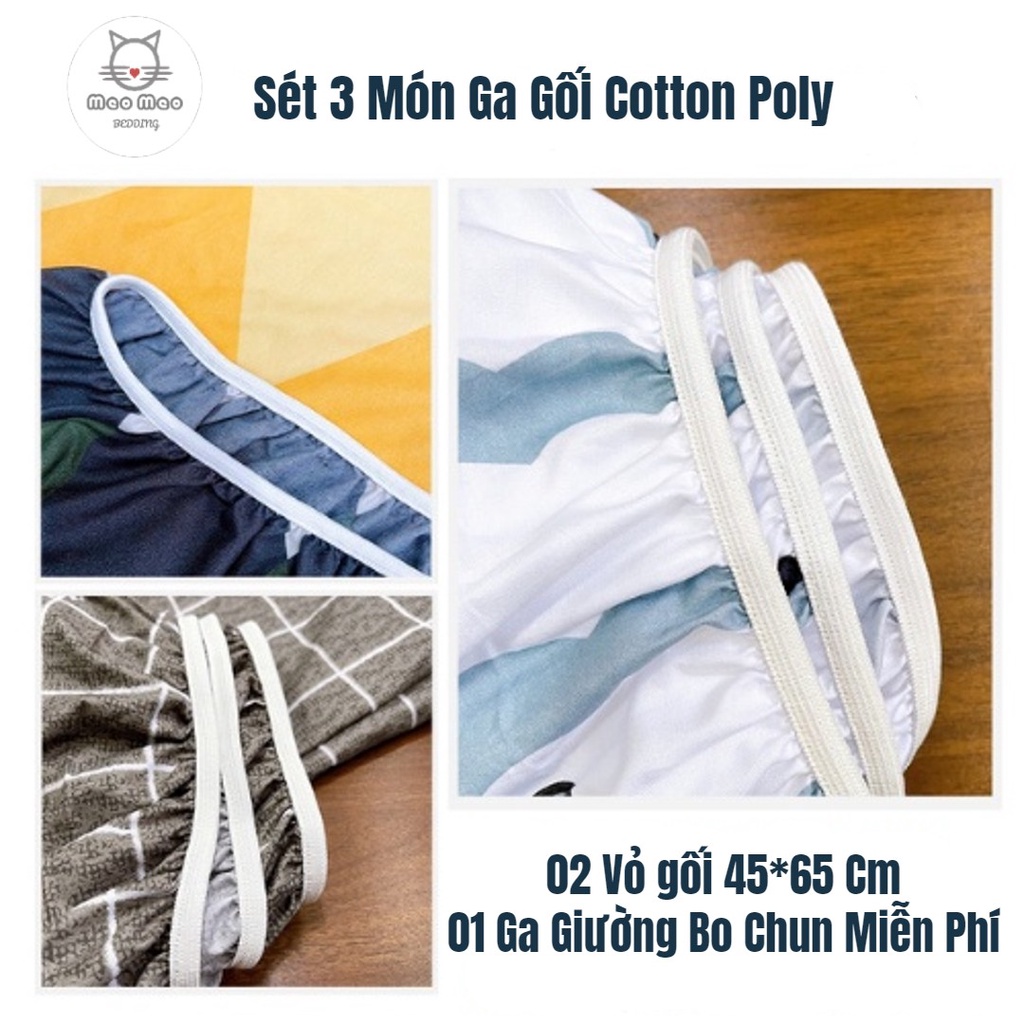 Sét 3 Món Ga Giường và Vỏ Gối Poly Cotton Hàn Quốc | BigBuy360 - bigbuy360.vn