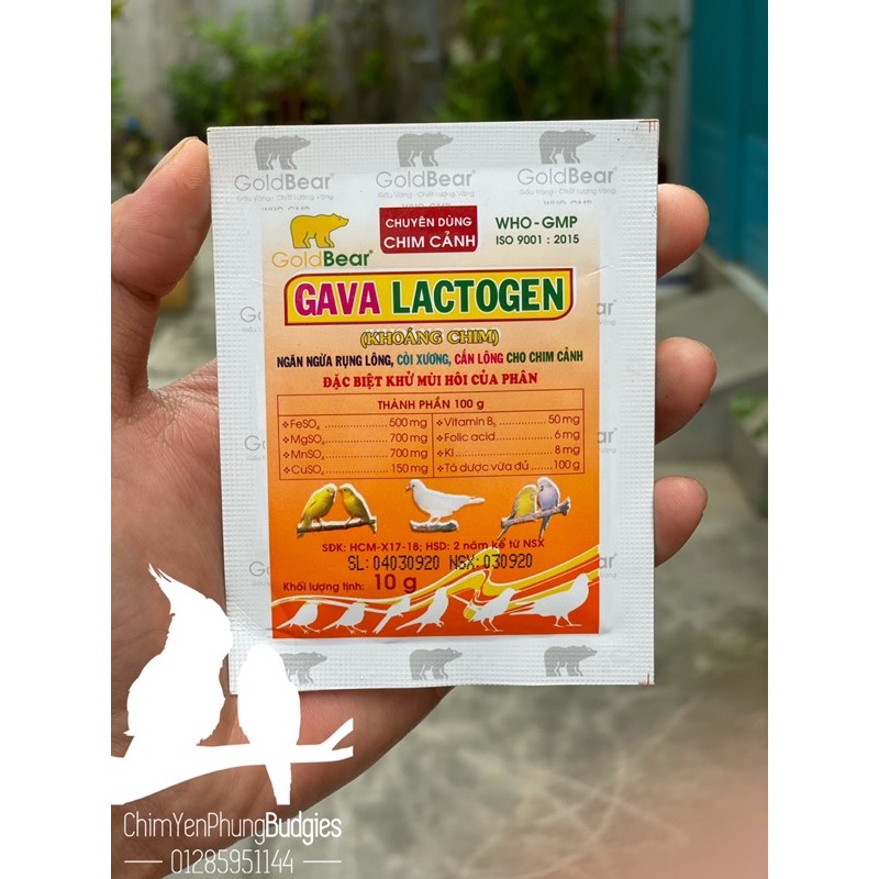KHOÁNG GAVA LACTOGEN ngăn ngừa rụng lông, còi xương, cắn lông cho chim cảnh.