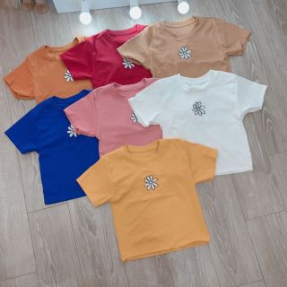 Áo kiểu thun bozip hình chụp thật
