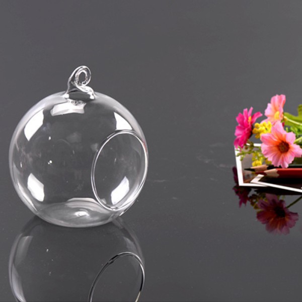 Chậu thủy tinh trồng cây xinh xắn Mỗi đơn đặt hàng tối đa là 6