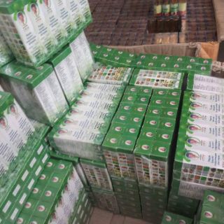 Combo (12chai) dầu lăn 13 vi thảo dược thái lan